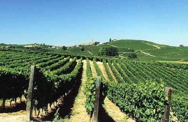 Casale Di Gricciano * Cerveteri