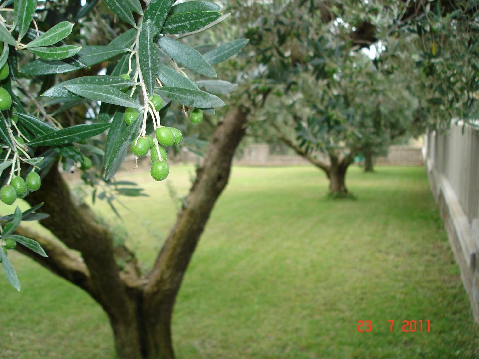 Casale Di Gricciano * Cerveteri
